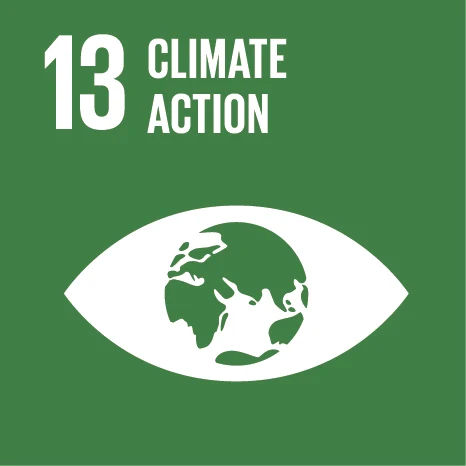 SDG 13 — Climate action