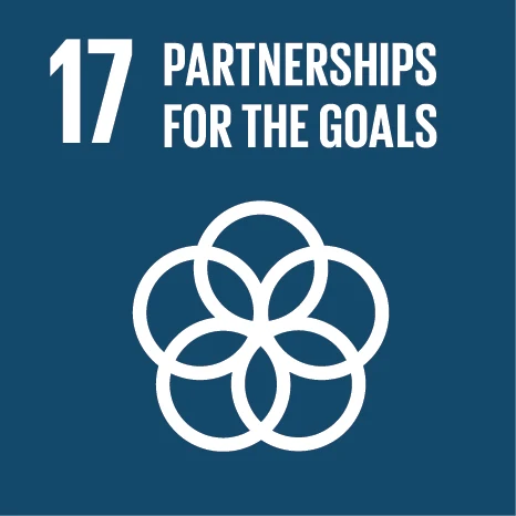 SDG 17, Partnerschaften zur Erreichung der Ziele